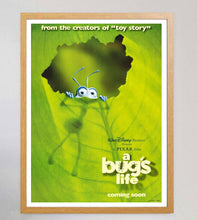 Load image into Gallery viewer, A Bug's Life