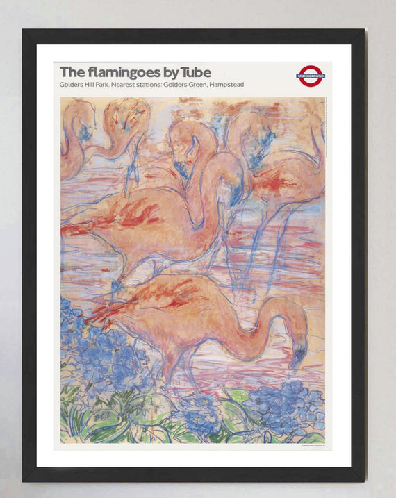 TFL - The Flamingoes by Tube - Golders Hill Park
