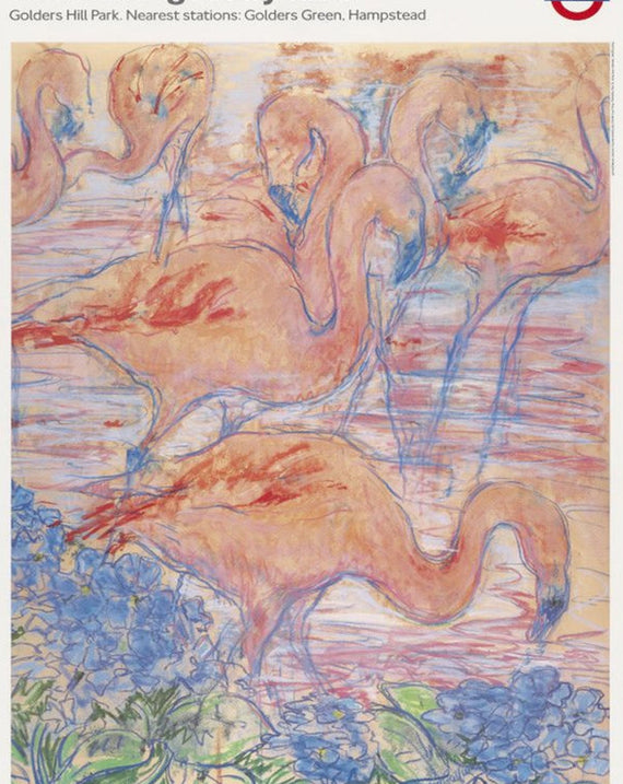 TFL - The Flamingoes by Tube - Golders Hill Park