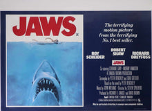 Load image into Gallery viewer, Jaws
