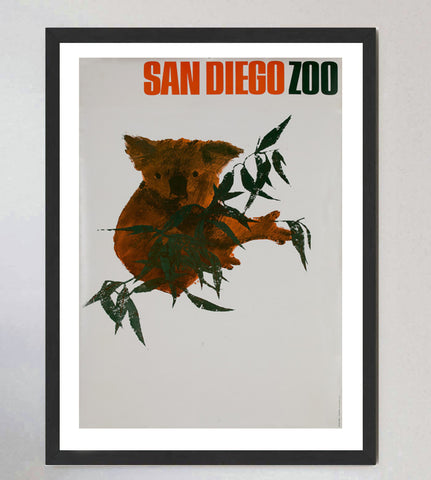 San Diego Zoo - Koala Bear