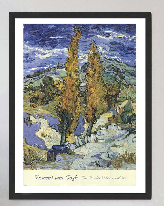 Vincent Van Gogh - Cleveland Museum of Art