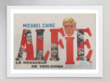 Load image into Gallery viewer, Alfie (Belgian)