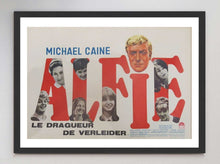 Load image into Gallery viewer, Alfie (Belgian)
