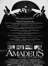 Load image into Gallery viewer, Amadeus