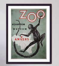 Load image into Gallery viewer, Antwerp Zoo Monkey