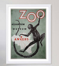 Load image into Gallery viewer, Antwerp Zoo Monkey