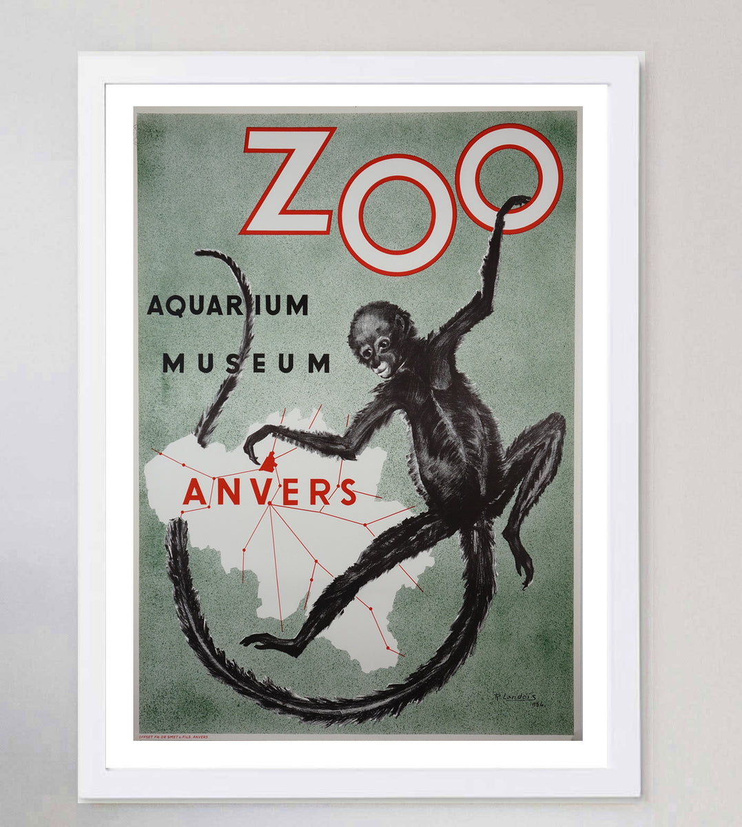 Shop Antwerp Zoo 1954 Original Vintage Poster Online