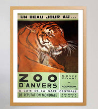 Load image into Gallery viewer, Antwerp Zoo Tiger