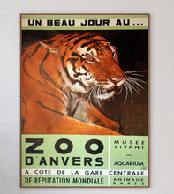 Load image into Gallery viewer, Antwerp Zoo Tiger