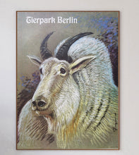Load image into Gallery viewer, Berlin Tierpark Zoo - Mountain Goat