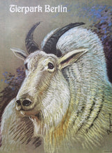 Load image into Gallery viewer, Berlin Tierpark Zoo - Mountain Goat