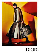 Load image into Gallery viewer, Dior Handbag