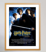 Load image into Gallery viewer, Harry Potter and the Chamber of Secrets - Printed Originals