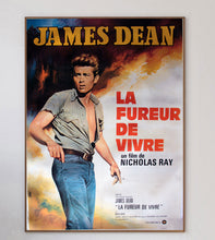 Load image into Gallery viewer, Rebel Without a Cause (French)