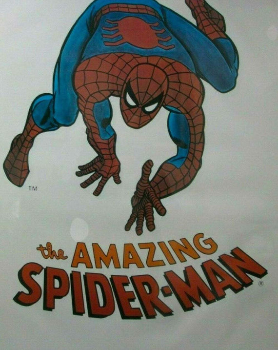 Marvel Amazing Spider Man