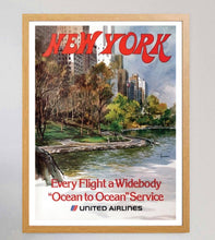 Load image into Gallery viewer, United Airlines - New York