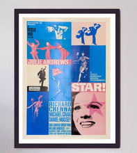 Load image into Gallery viewer, Star!