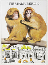 Load image into Gallery viewer, Berlin Tierpark Zoo - Baboons