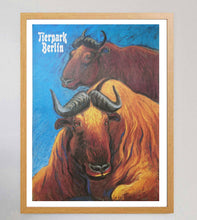 Load image into Gallery viewer, Berlin Tierpark Zoo - Golden Takin