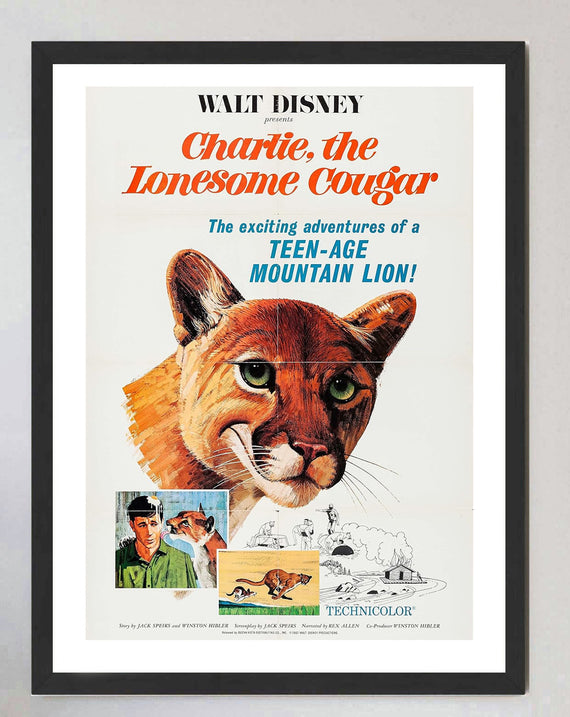 Charlie the Lonesome Cougar