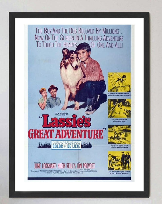 Lassie's Great Adventure