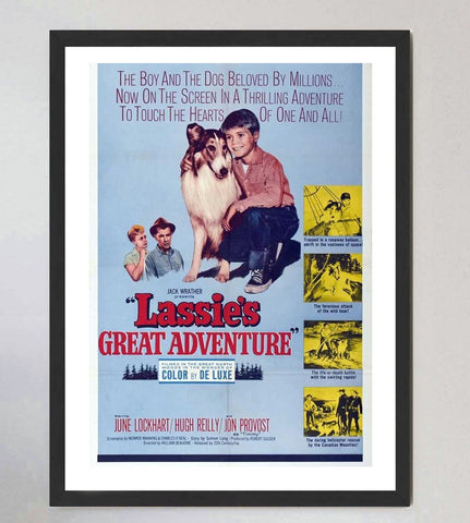 Lassie's Great Adventure