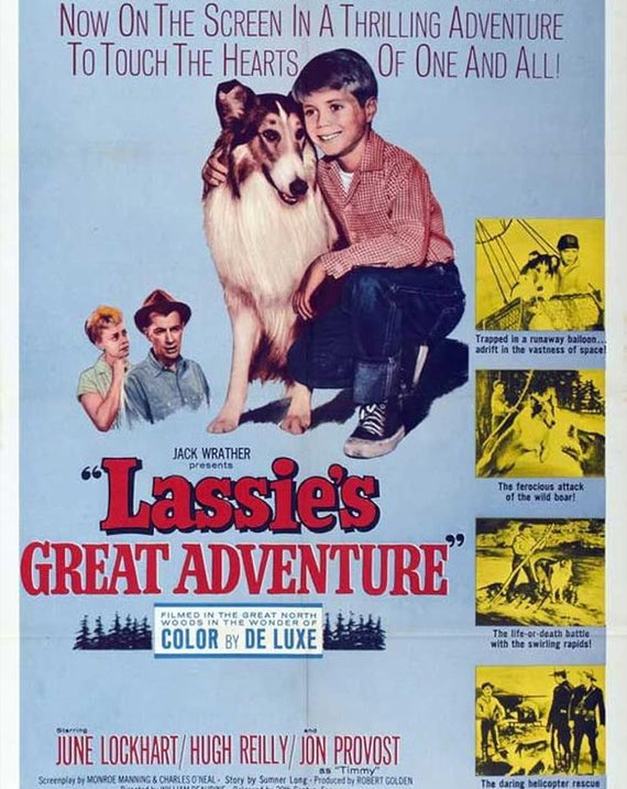 Lassie's Great Adventure
