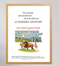 Load image into Gallery viewer, Napoleon and Samantha