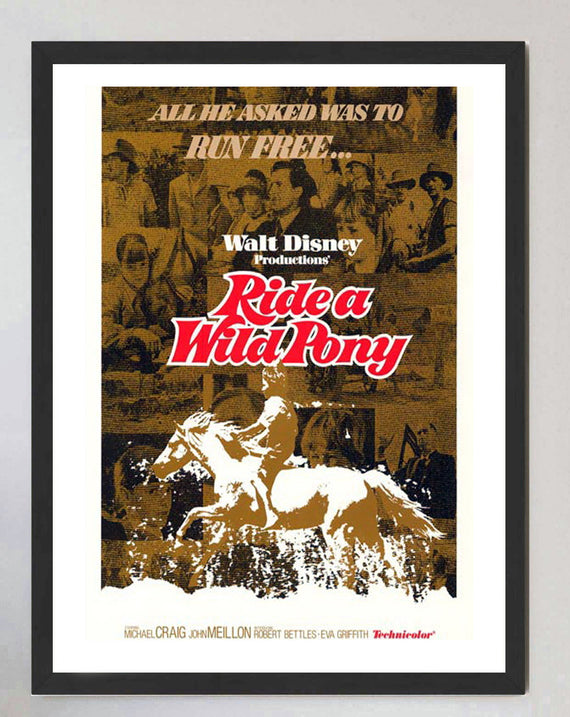 Ride a Wild Pony