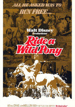 Load image into Gallery viewer, Ride a Wild Pony