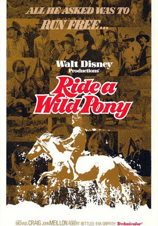 Ride a Wild Pony vintage Disney horse collage poster