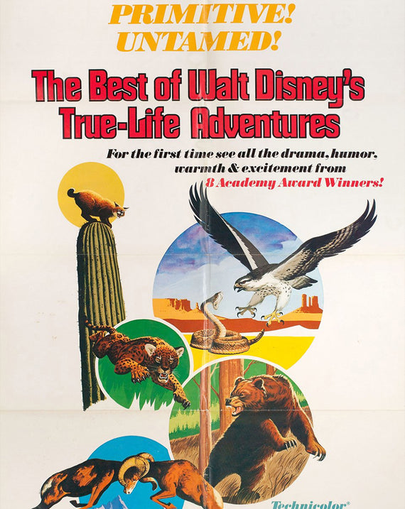 True Life Adventure the African Lion