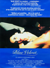 Load image into Gallery viewer, Blue Velvet