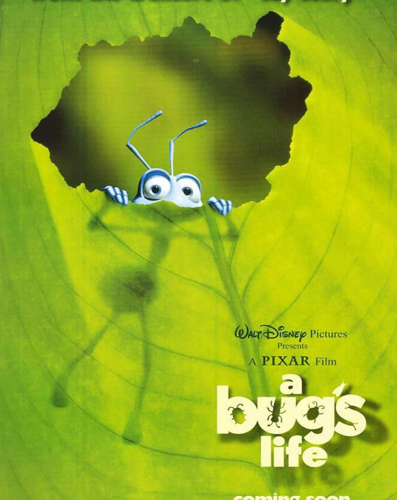 A Bug's Life