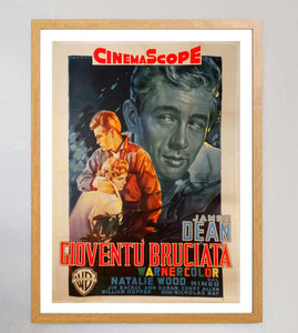 Rebel Without a Cause (Italian)