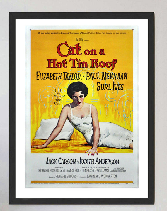 Cat on a Hot Tin Roof