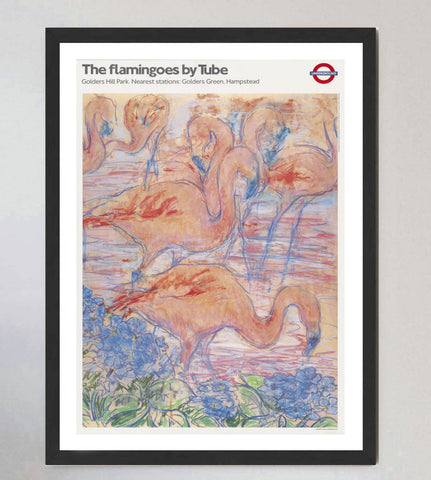 TFL - The Flamingoes by Tube - Golders Hill Park