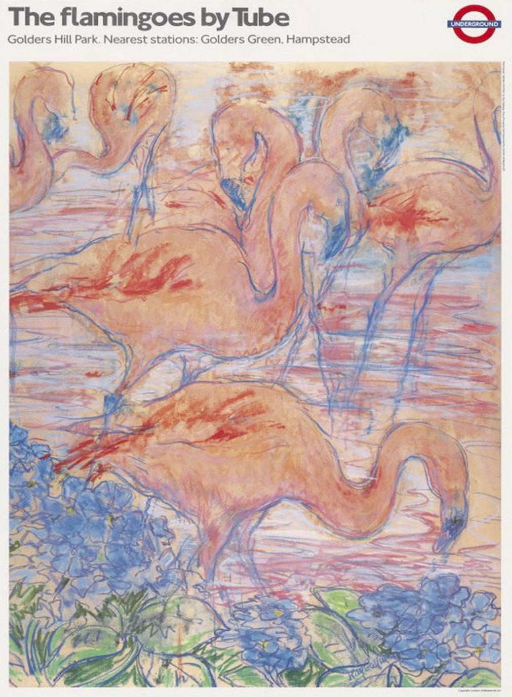 TFL - The Flamingoes by Tube - Golders Hill Park