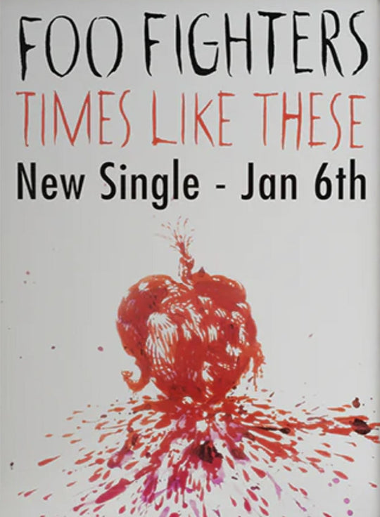 Foo Fighters - Times Like These
