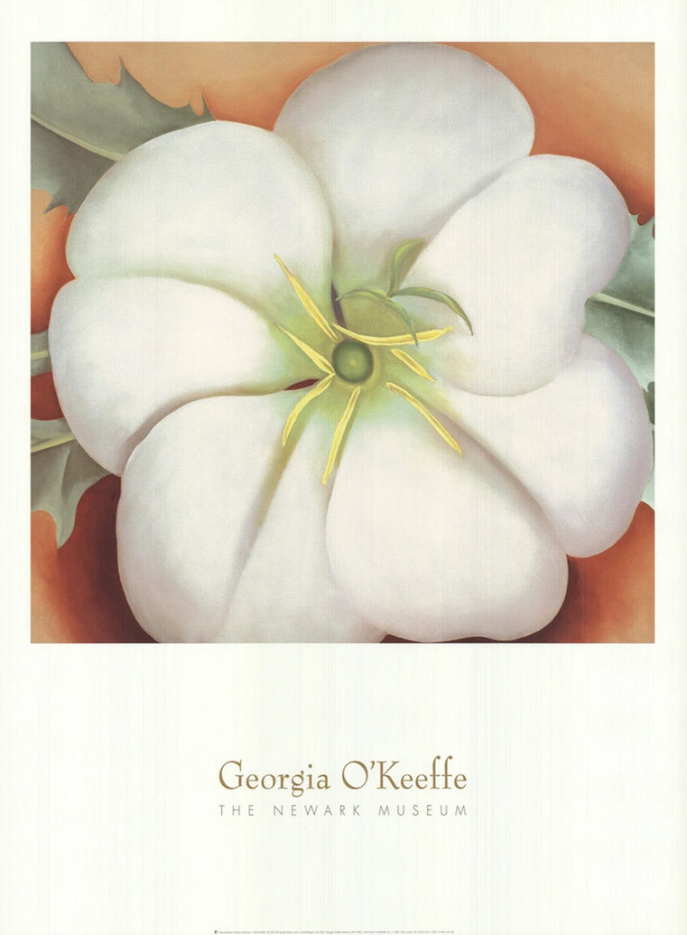 Georgia O'Keeffe - The Newark Museum