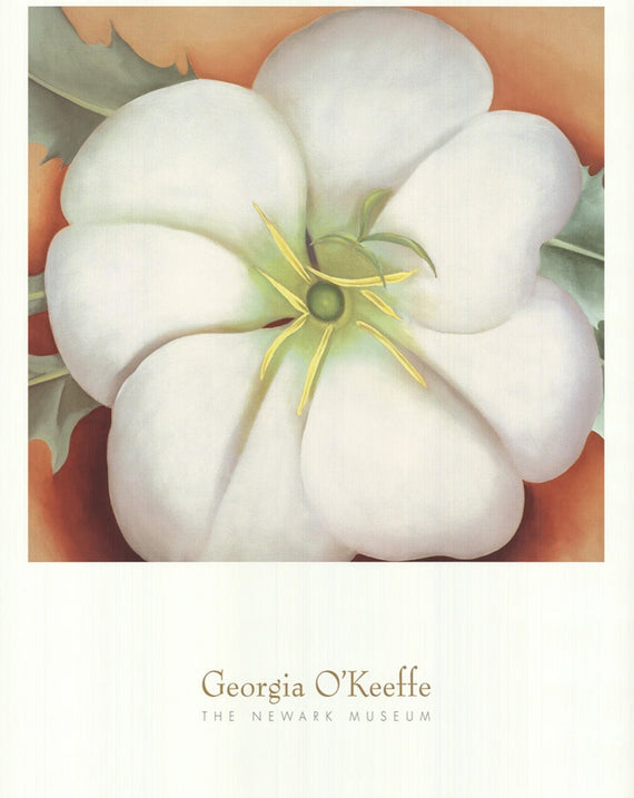 Georgia O'Keeffe - The Newark Museum