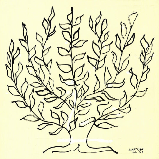 Henri Matisse - The Bush