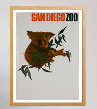 Load image into Gallery viewer, San Diego Zoo - Koala Bear