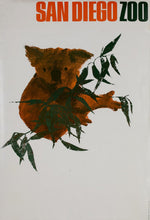Load image into Gallery viewer, San Diego Zoo - Koala Bear