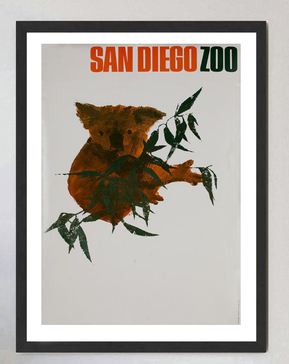 San Diego Zoo - Koala Bear