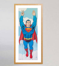 Load image into Gallery viewer, Superman