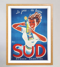 Load image into Gallery viewer, Sud Boisson Gazeifiee