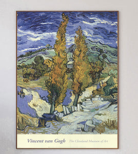 Vincent Van Gogh - Cleveland Museum of Art