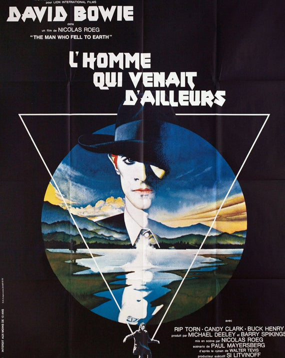 The Man Who Fell To Earth (French)